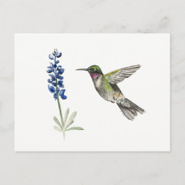 Cartão Postal Hummingbird e Bluebonnet