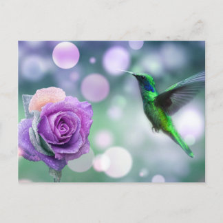 Cartão Postal Hummingbird e Rosa - Verde e rosa