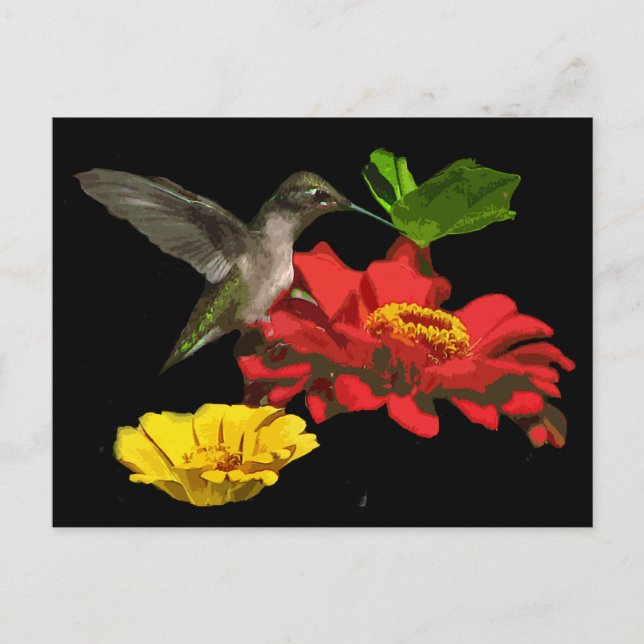 Cartão Postal Hummingbird em Zinnias (Frente)