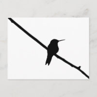 Hummingbird Silhouette