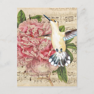 Cartão Postal Hummingbird Song