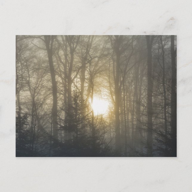 Cartão Postal Humor da Manhã (Frente)