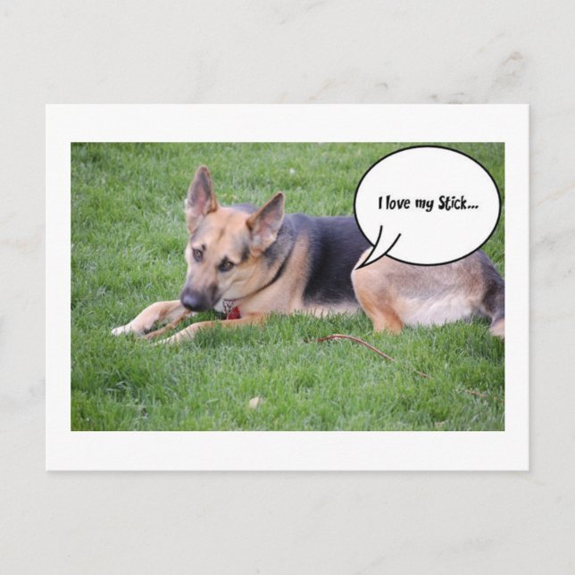 Cartão Postal Humor do german shepherd (Frente)