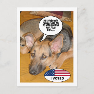 Cartão Postal Humor do german shepherd
