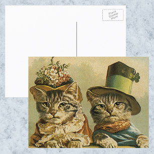 Cartão Postal Humor Vintage, Gatos de Noiva Vitoriana em Chapéus