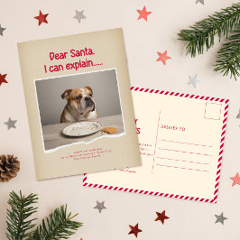 Cartão Postal Humorous Funny Dog Pet Family Christmas Postcard