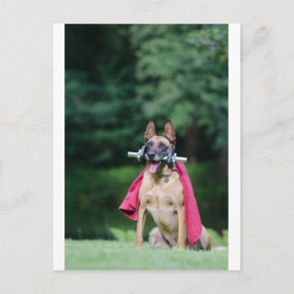 Cartão Postal Hund beim Fitnesstcoling