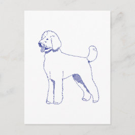 Cartão Postal Hunderasse Goldendoodle