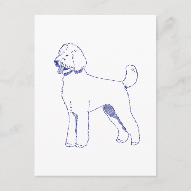 Cartão Postal Hunderasse Goldendoodle (Frente)