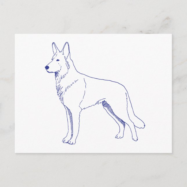 Cartão Postal Hunderasse Schäferhund (Frente)