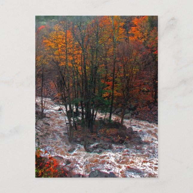 Cartão Postal Hunter Mountain Fast Water (Frente)