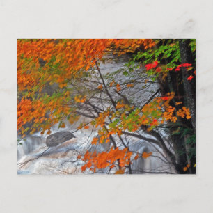 Cartão Postal Hunter Mountain Stream