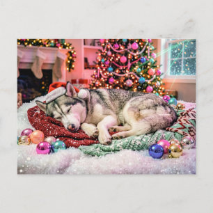 Cartão Postal Husky Dormindo em Cena de Natal Aconchegante