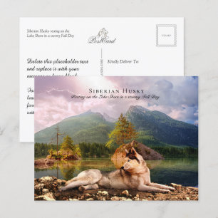 Cartão Postal Husky siberiano em Lakeshore em Fall - Colecível