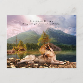 Cartão Postal Husky siberiano em Lakeshore em Fall - Colecível