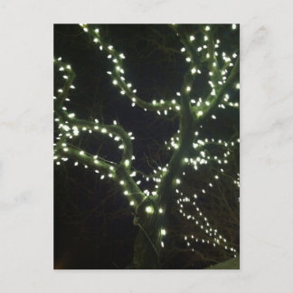 Cartão Postal Hyannis Lights Postcard