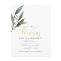 Hycalypt, dourado, naufrágio do dourado