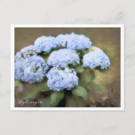 Cartão Postal Hydrangea