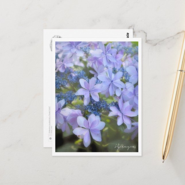 Cartão Postal Hydrangea (Frente/Verso In Situ)