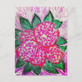 Cartão Postal Hydrangea macrophylla