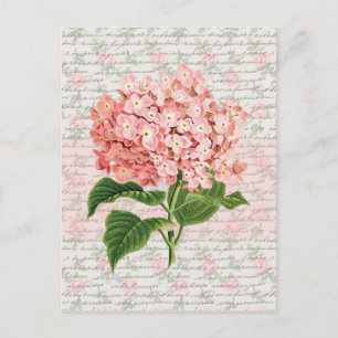 Cartão Postal Hydrangea Vintage Dream