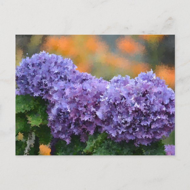 Cartão Postal Hydrangeas impressionistas (Frente)