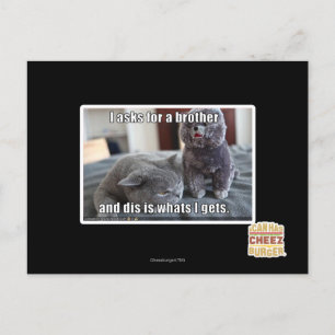 Cartão Postal I asks for a brother