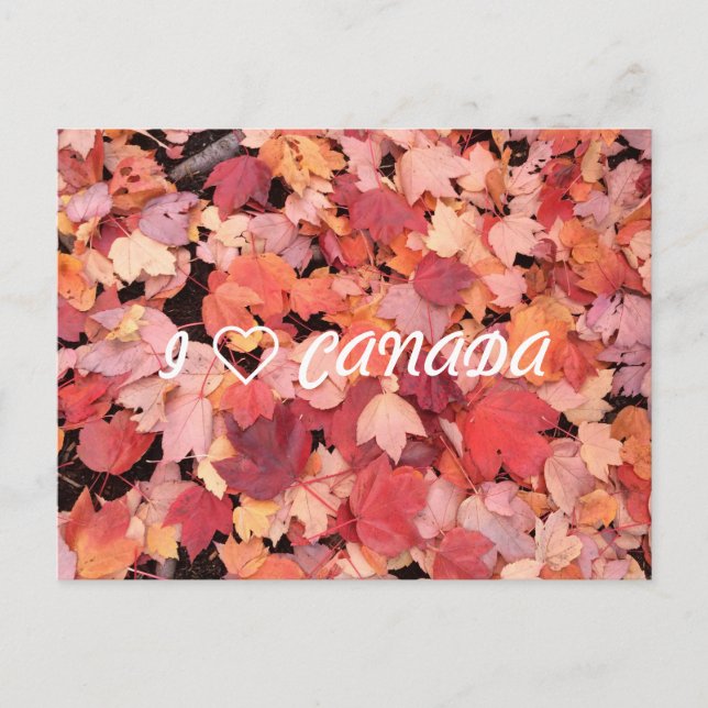 CARTÃO POSTAL I ◄ CANADÁ (Frente)