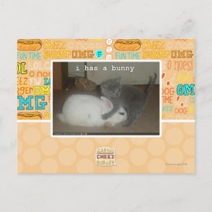Cartão Postal I has a bunny