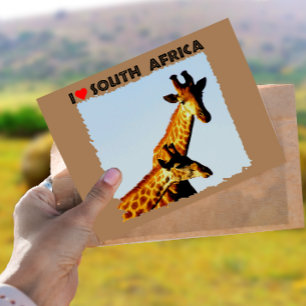 Cartão Postal I Heart South Africa Blue Sky Girafas