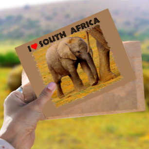 Cartão Postal I Heart South Africa Elephant