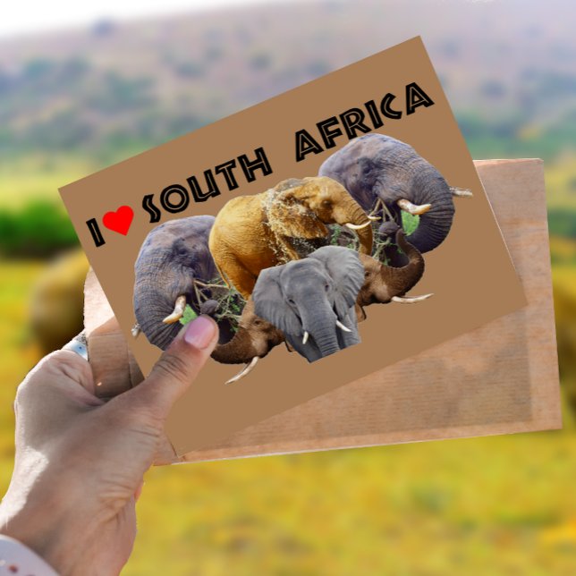 Cartão Postal I Heart South Africa Elephant Emblem (Criador carregado)