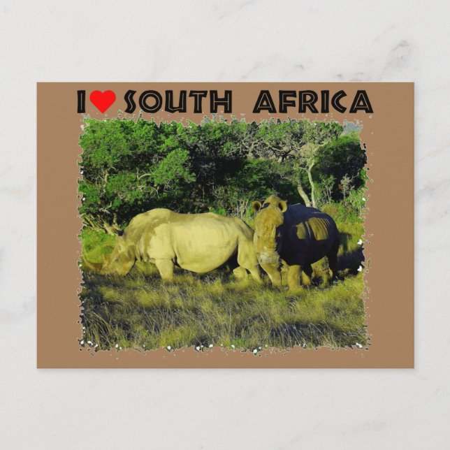Cartão Postal I Heart South Africa Rhino Casal (Frente)