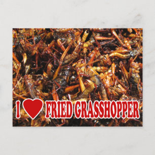 Cartão Postal I Love (Heart Fried Grafopper)