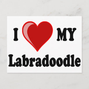 Cartão Postal I Love (Heart) My Labradoodle Dog