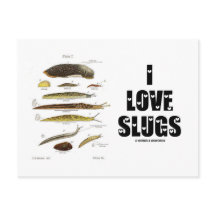 I Love Slugs (Naturalista/Natureza)