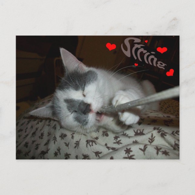 Cartão Postal I WUV My String (Frente)