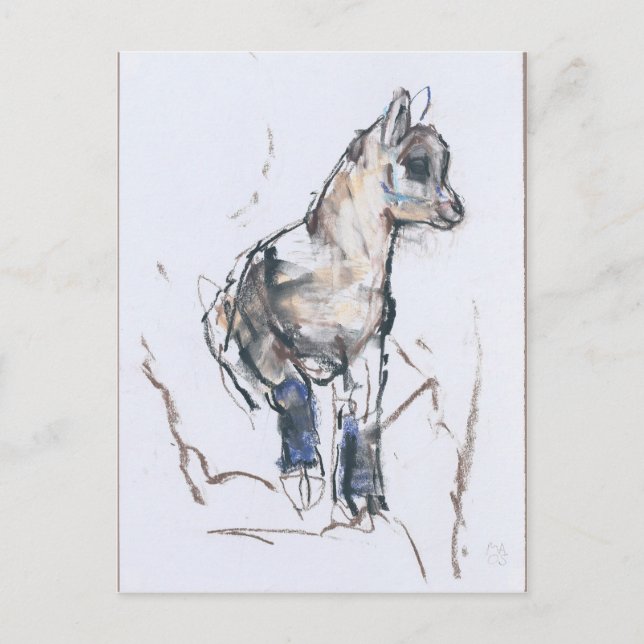 Cartão Postal Ibex Kid (Frente)