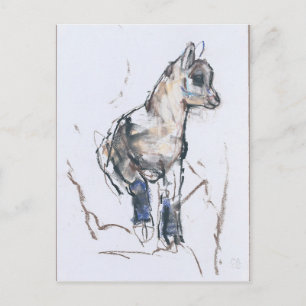 Cartão Postal Ibex Kid