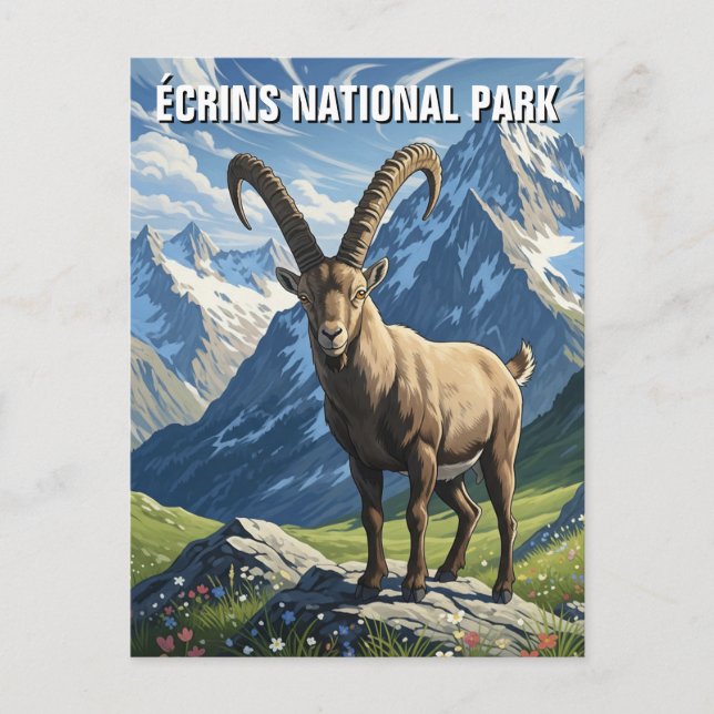 Cartão Postal Ibex no Parque Nacional de Écrins Viagem França (Frente)