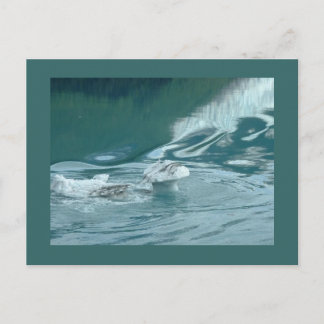 Cartão Postal "Iceberg Mushroom Delight"