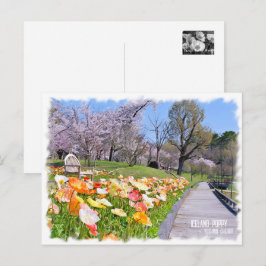 Cartão Postal Iceland Poppy × Yoshino Cherry