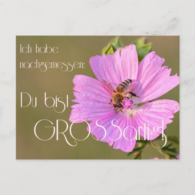 Cartão Postal Ich habe nachgemessen: Du bist großartig! (Frente)