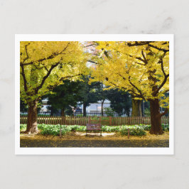 Cartão Postal Icho Namiki (Avenida Ginkgo): Tóquio, Japão