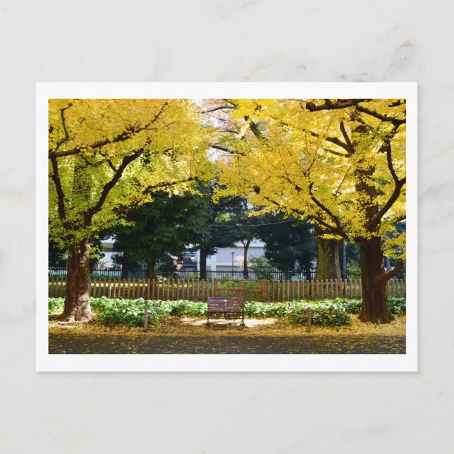 Cartão Postal Icho Namiki (Avenida Ginkgo): Tóquio, Japão (Frente)