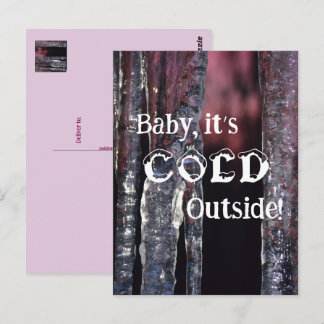 Cartão Postal Icicle Sunrise-Bebê, Está Muito Frio Lá Fora!