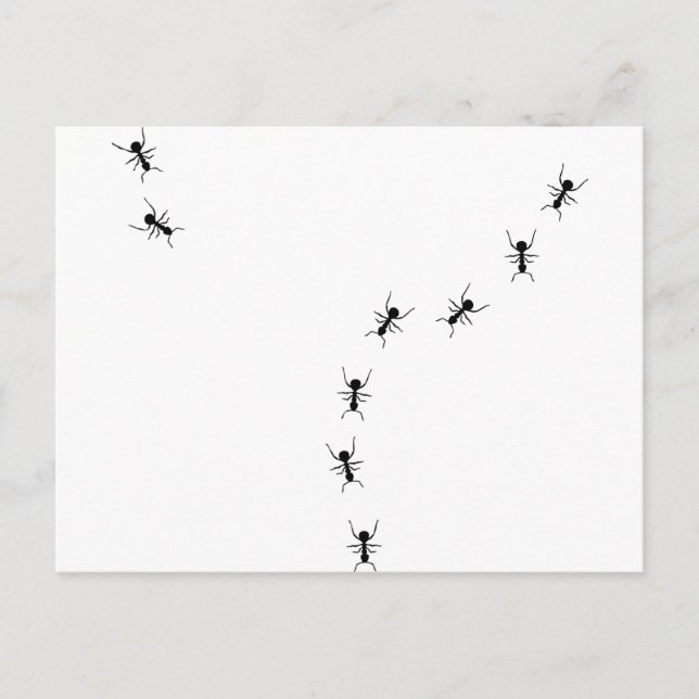 Cartão Postal ícone de trilha de formatura (Frente)