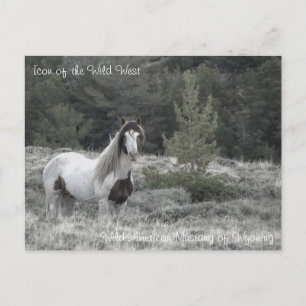 Cartão Postal Ícone do Oeste Selvagem - Cartão-postal