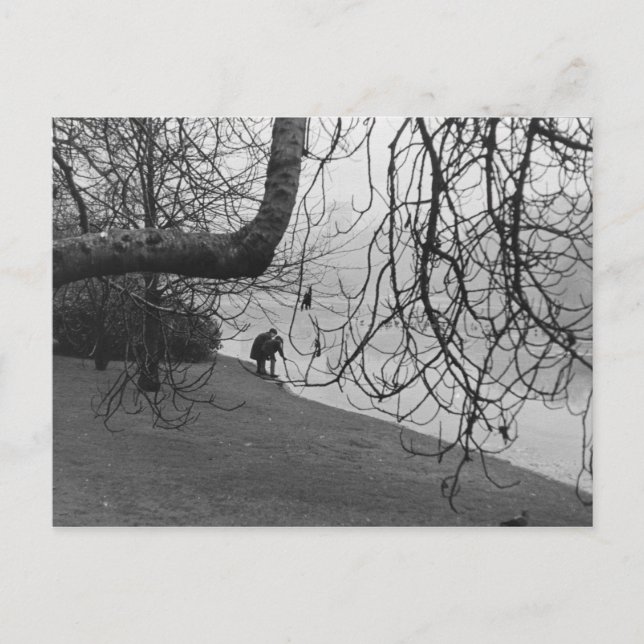 Cartão Postal Icy Lake (Frente)