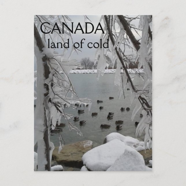 Cartão Postal Icy Winter Canada Land of Fold (Frente)